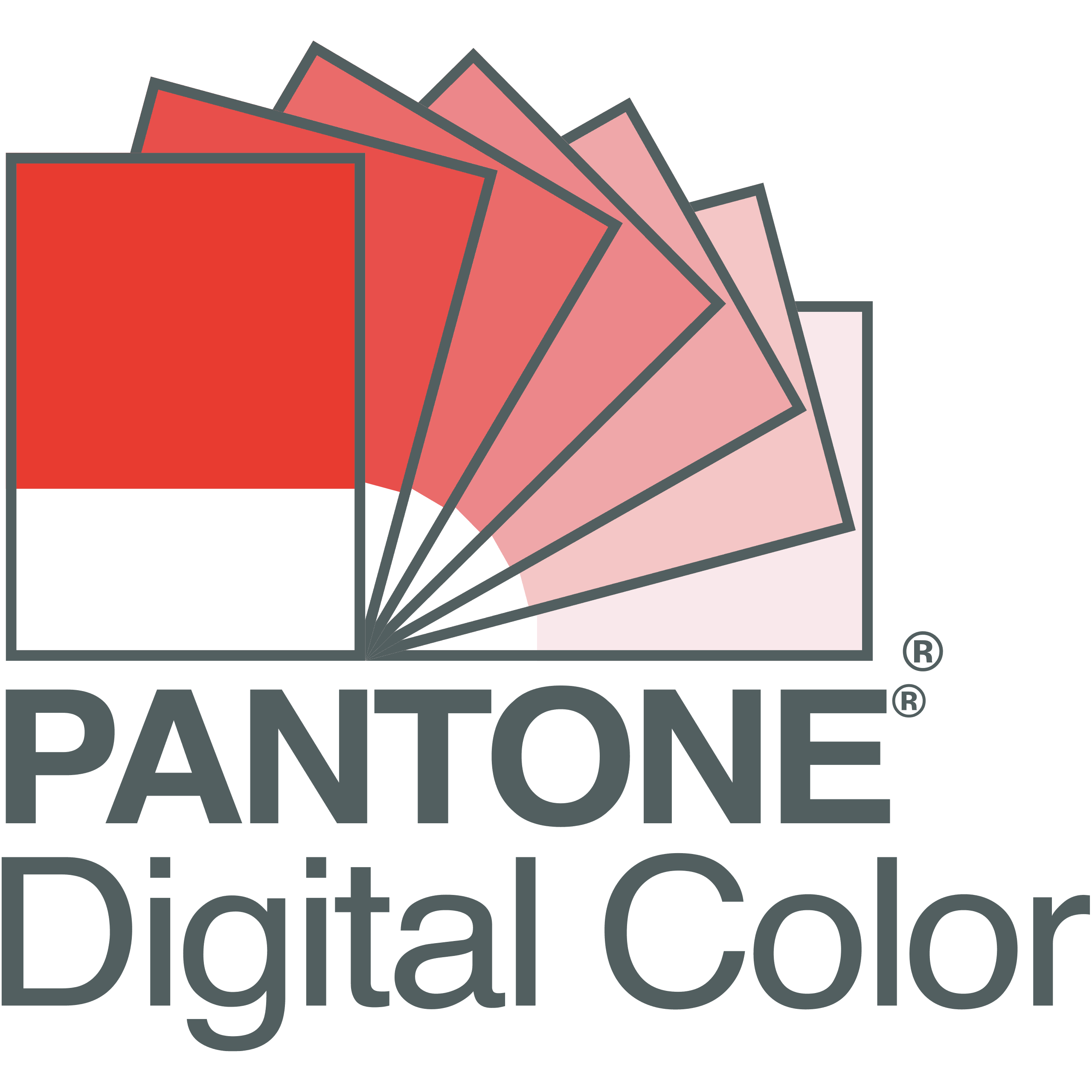 Pantone Digital Color Pantone Digital Color